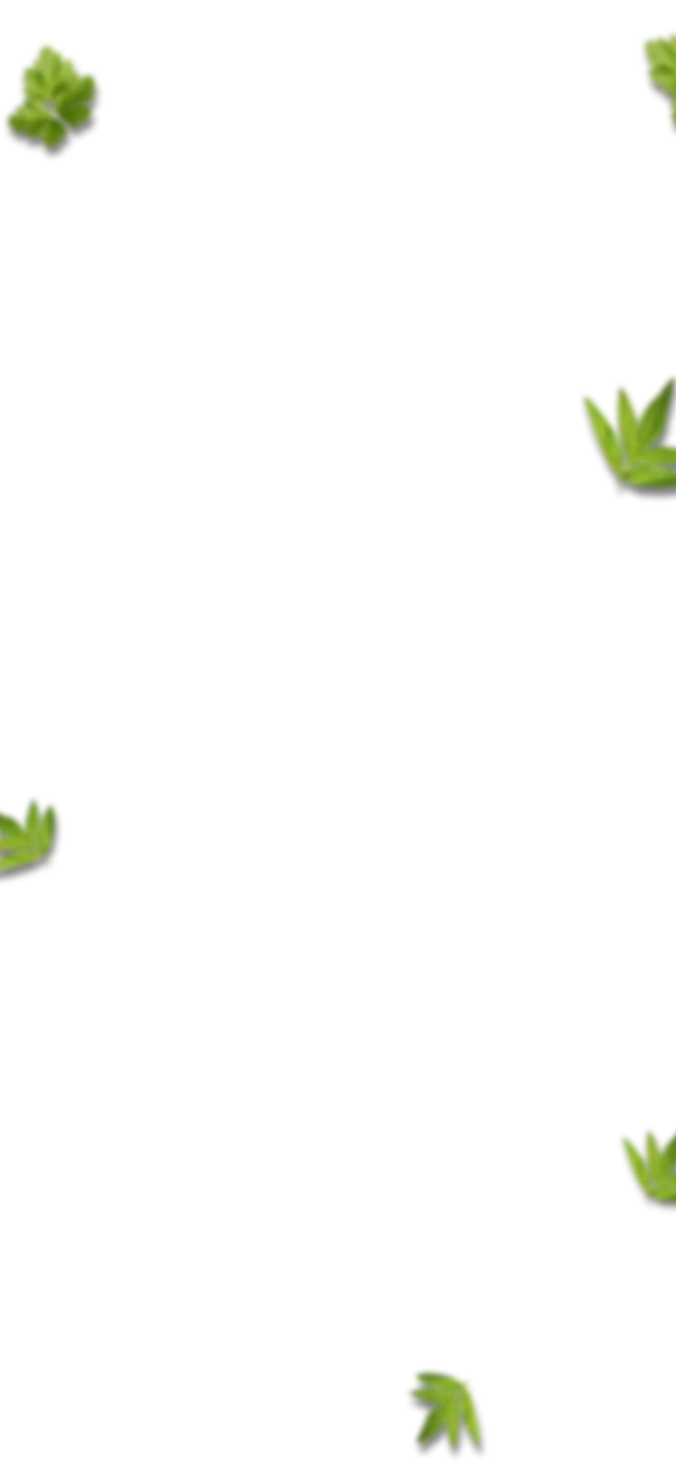fondo de hojas